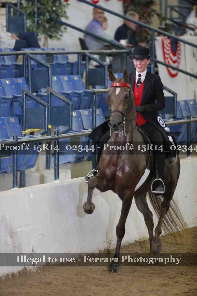 Proof Number 15R14_02344