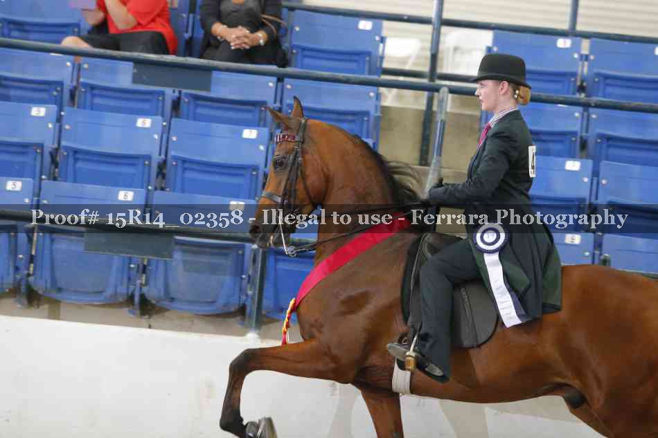 Proof Number 15R14_02358
