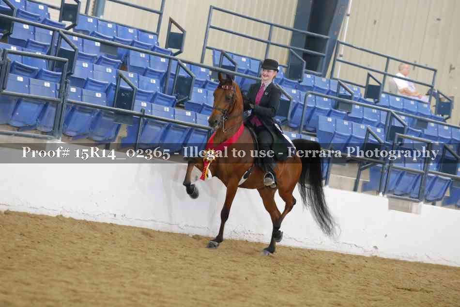 Proof Number 15R14_02365