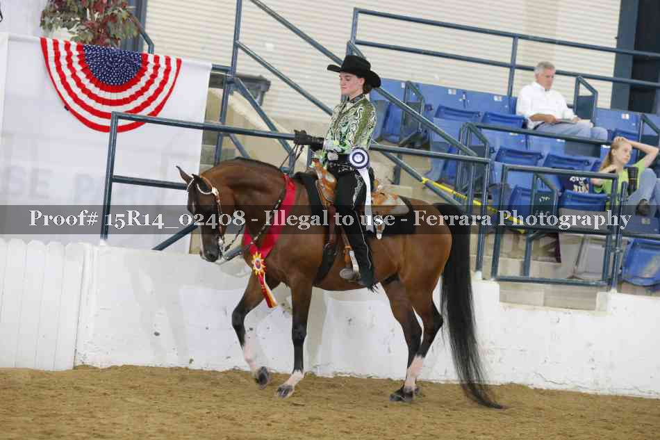 Proof Number 15R14_02408
