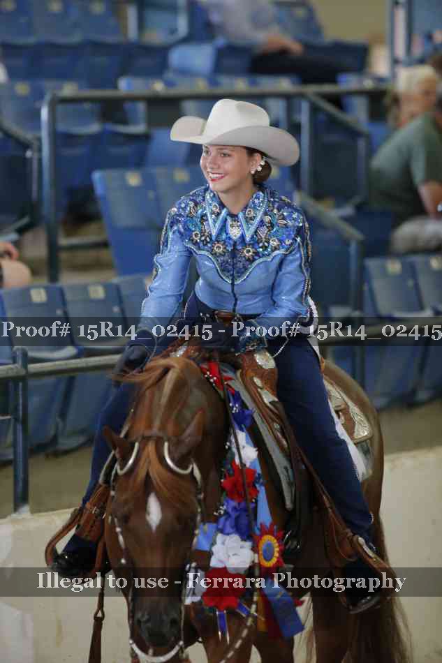 Proof Number 15R14_02415