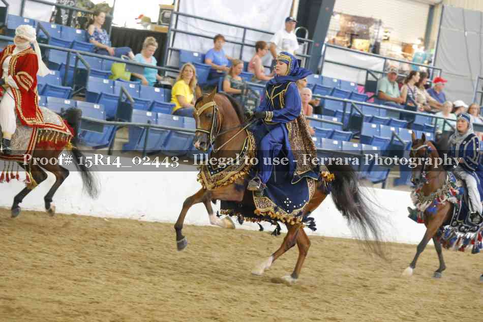 Proof Number 15R14_02443