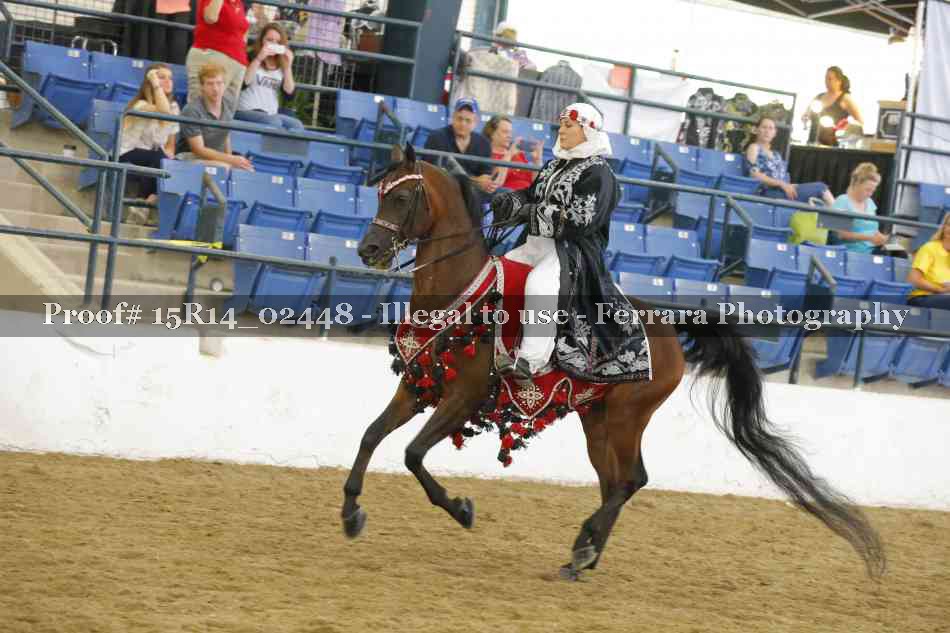 Proof Number 15R14_02448