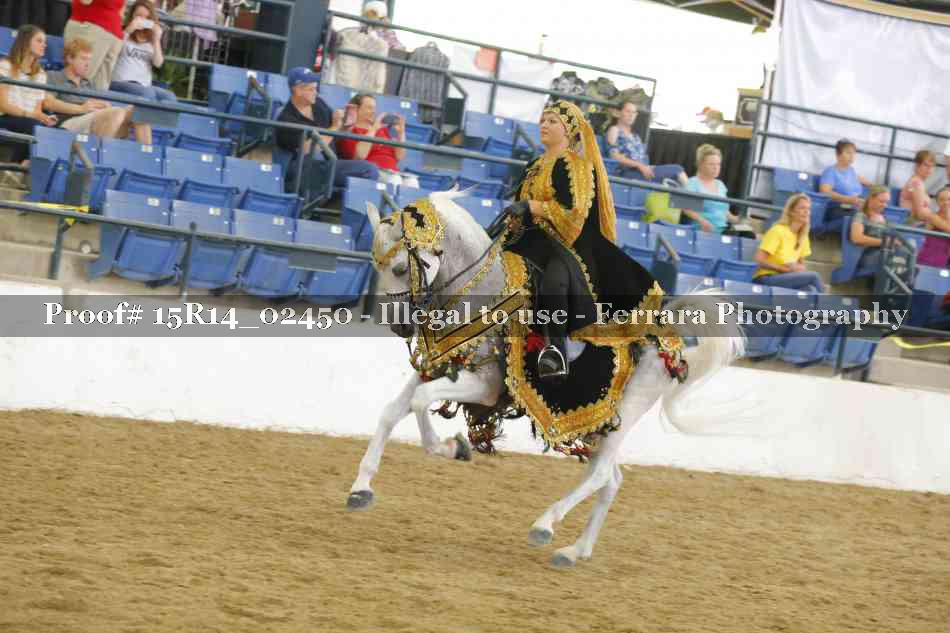 Proof Number 15R14_02450