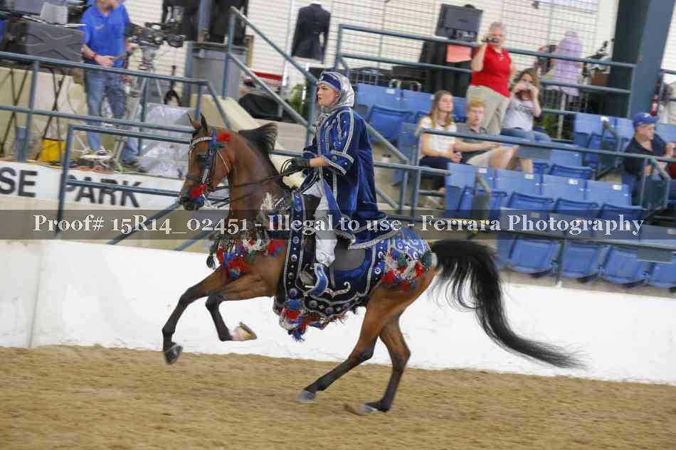 Proof Number 15R14_02451