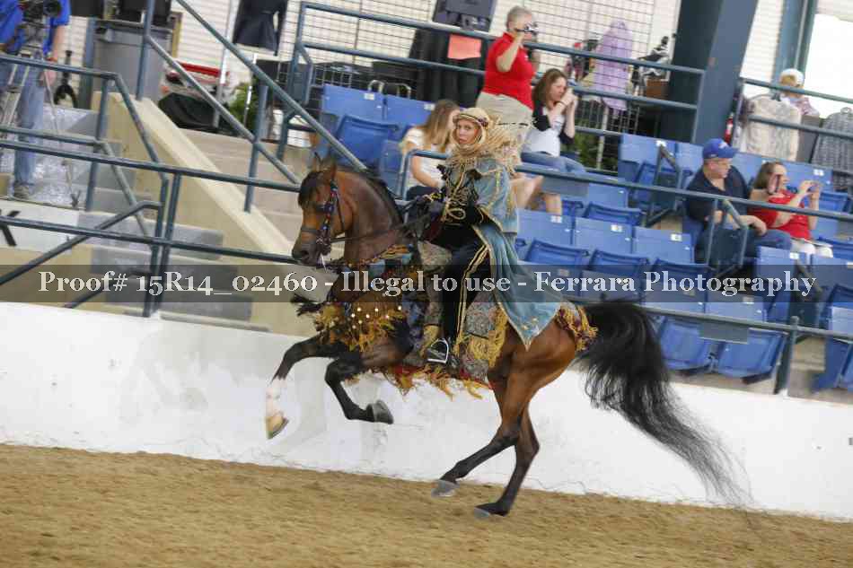 Proof Number 15R14_02460