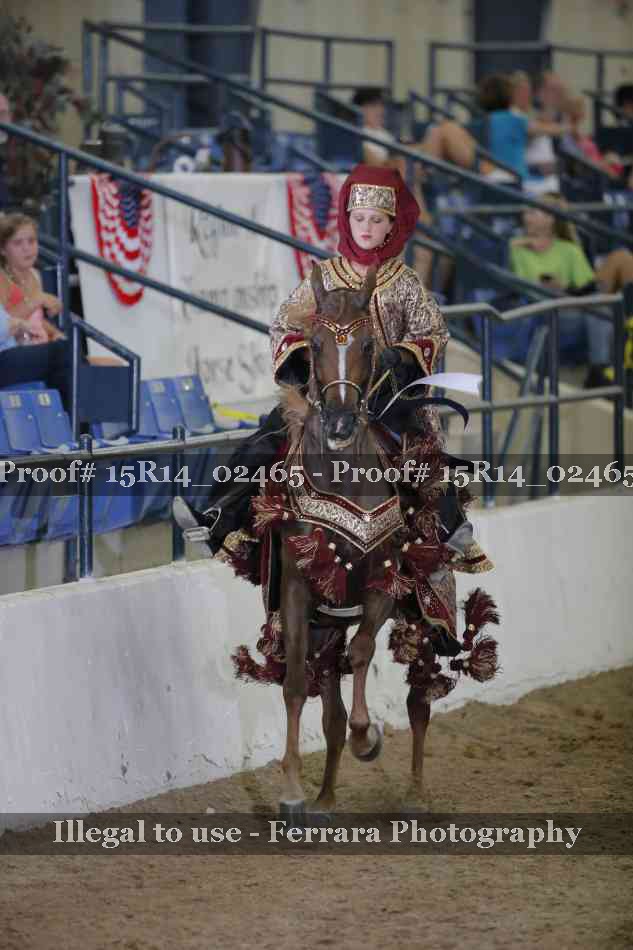 Proof Number 15R14_02465
