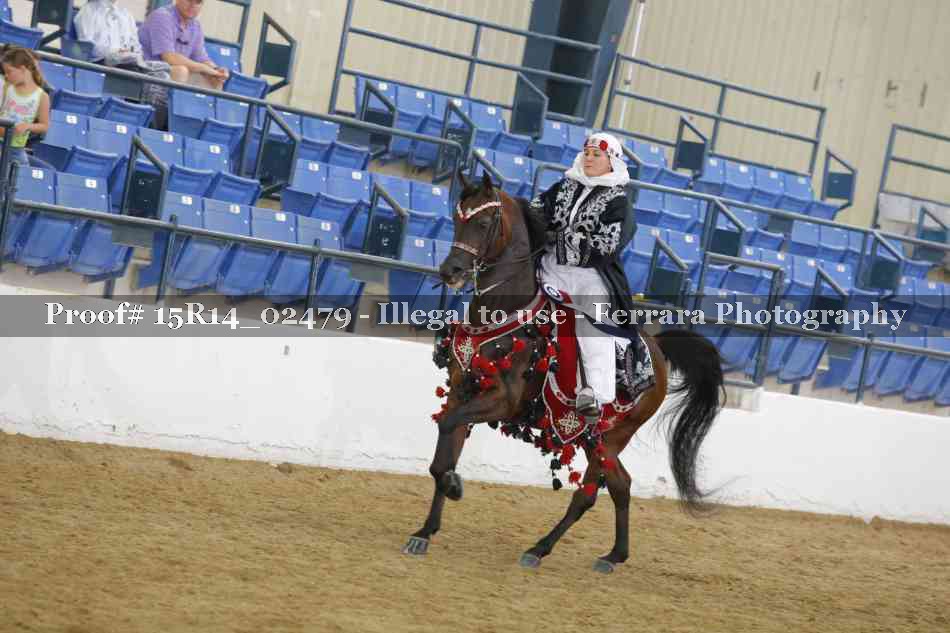 Proof Number 15R14_02479