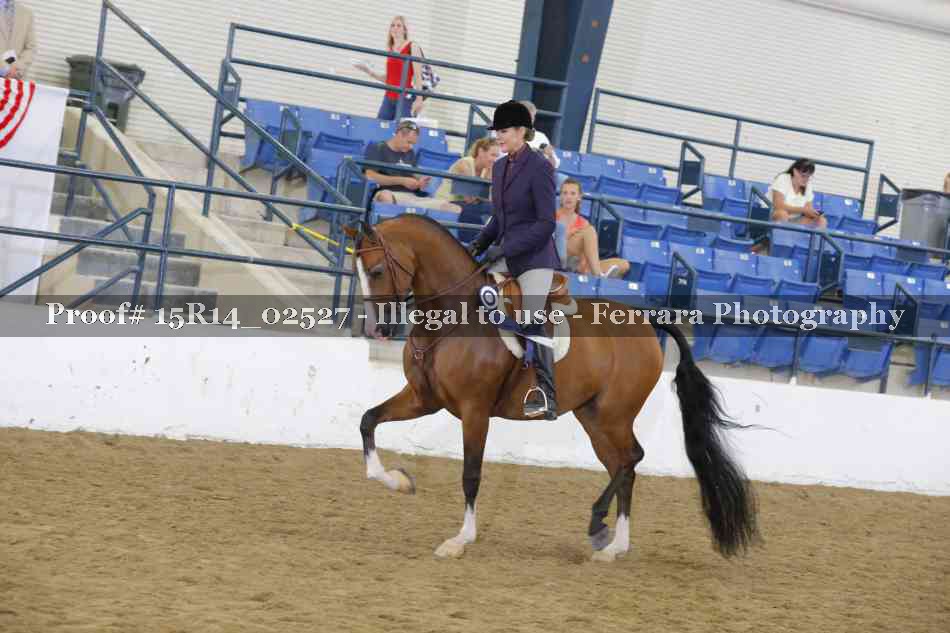 Proof Number 15R14_02527
