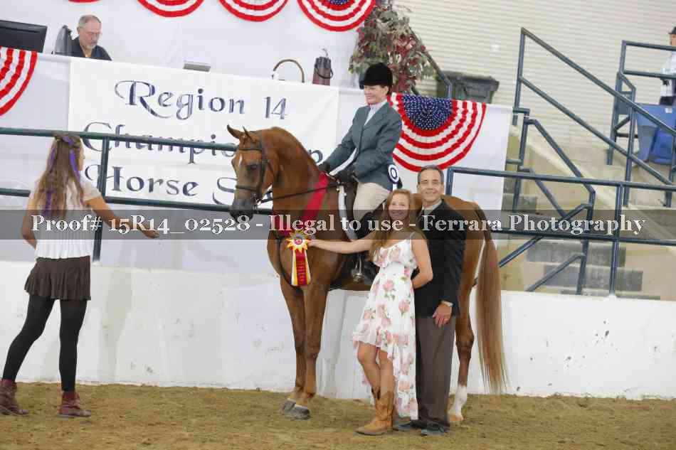 Proof Number 15R14_02528