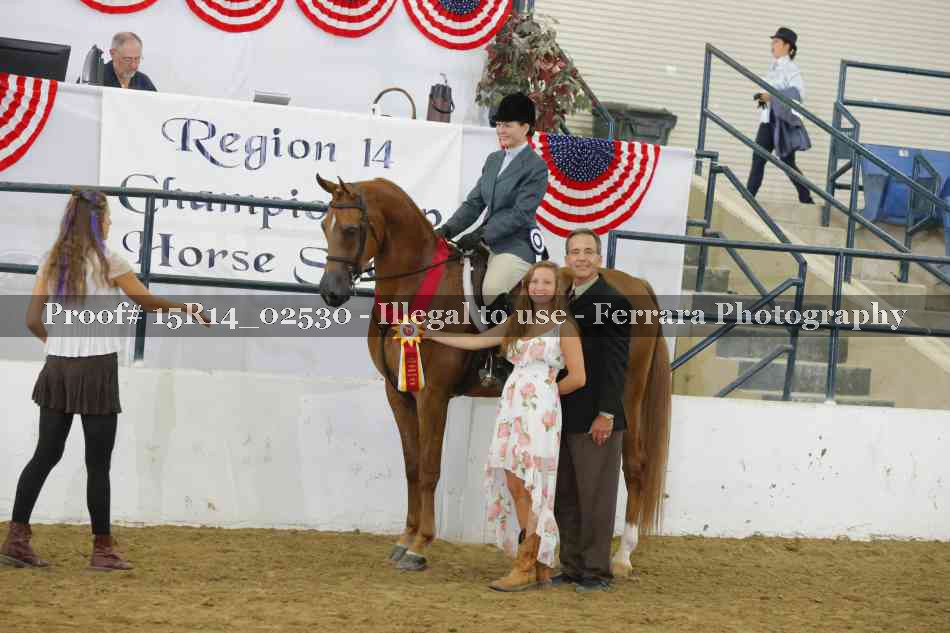 Proof Number 15R14_02530