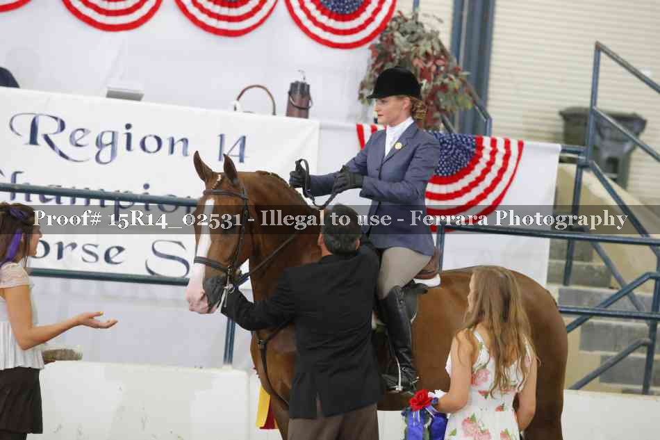 Proof Number 15R14_02531