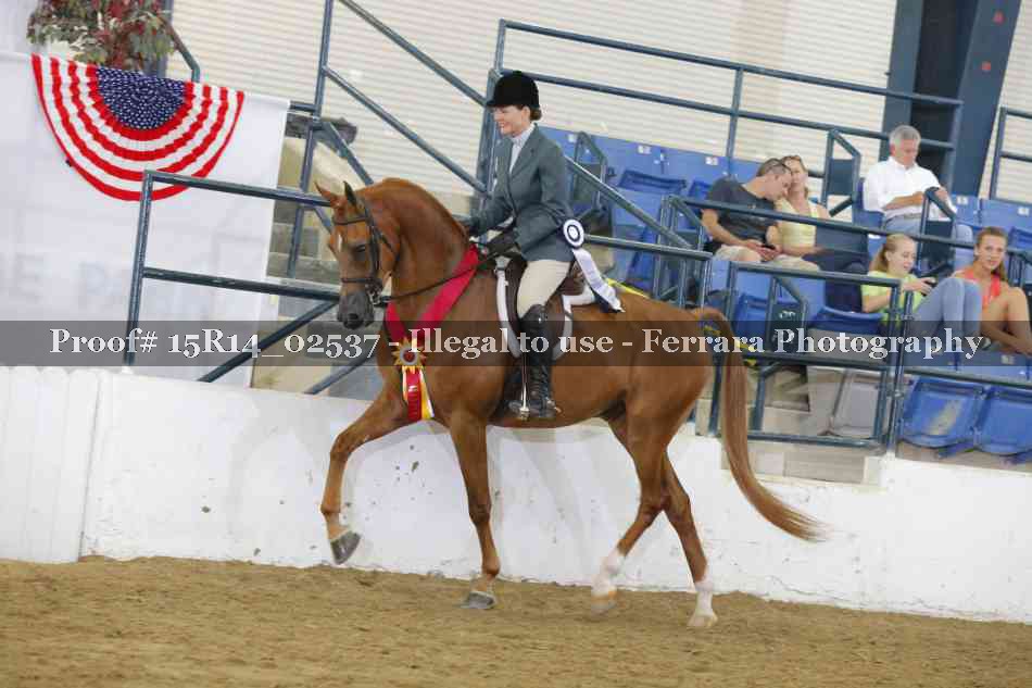 Proof Number 15R14_02537