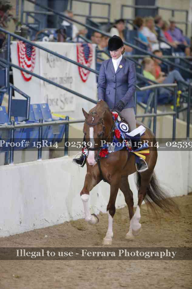Proof Number 15R14_02539