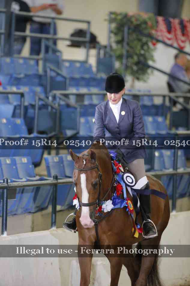 Proof Number 15R14_02540