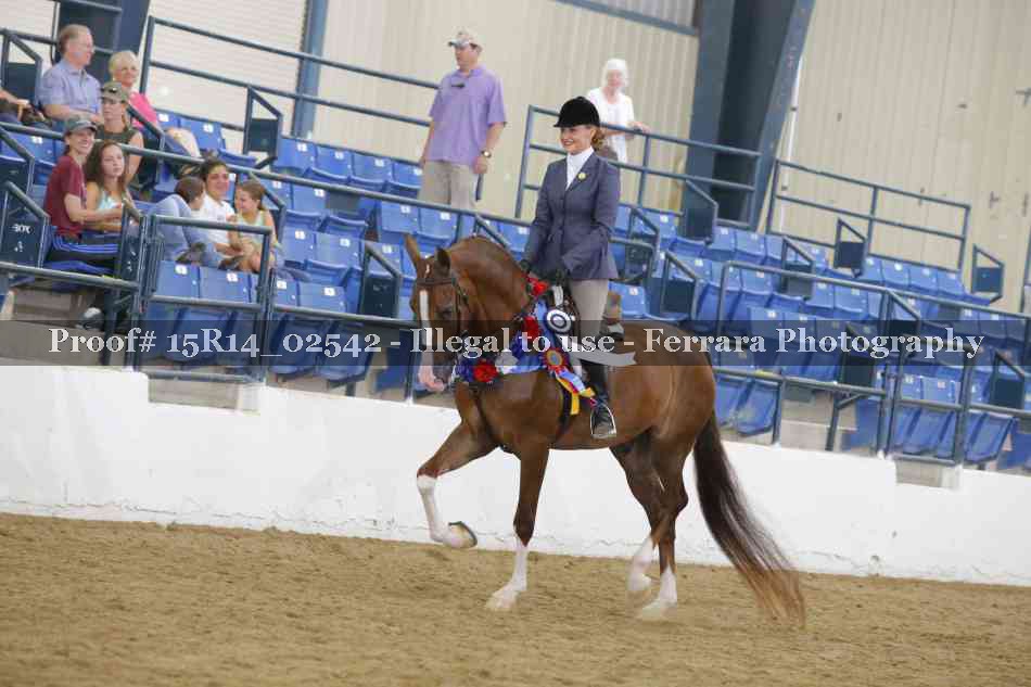 Proof Number 15R14_02542