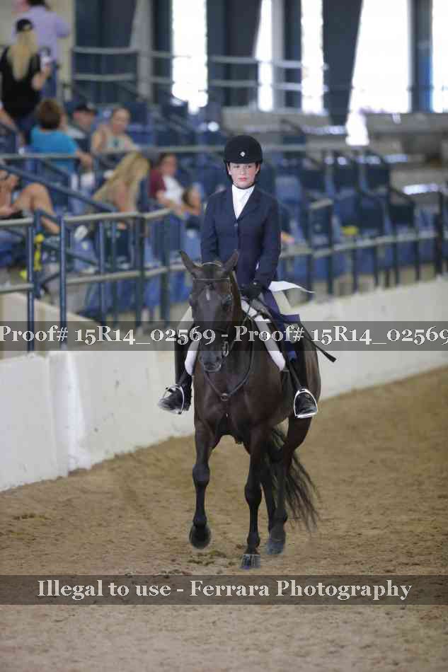 Proof Number 15R14_02569