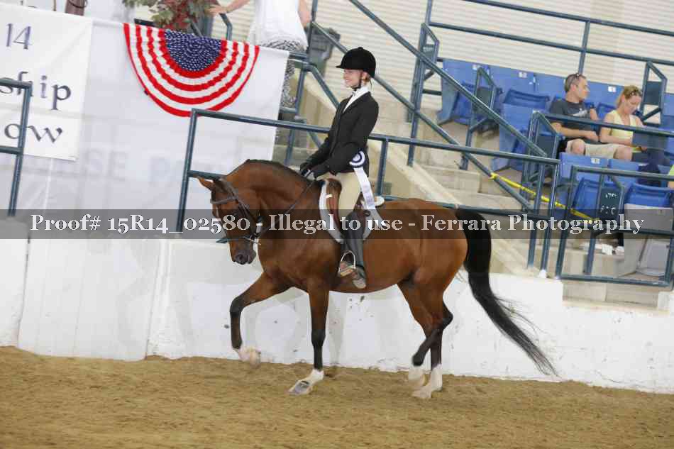 Proof Number 15R14_02580