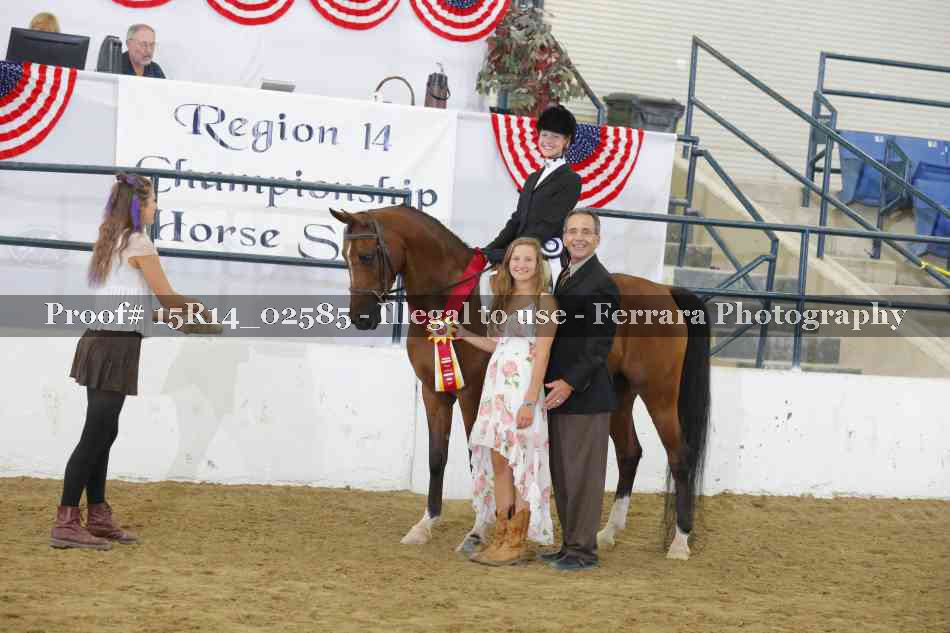 Proof Number 15R14_02585