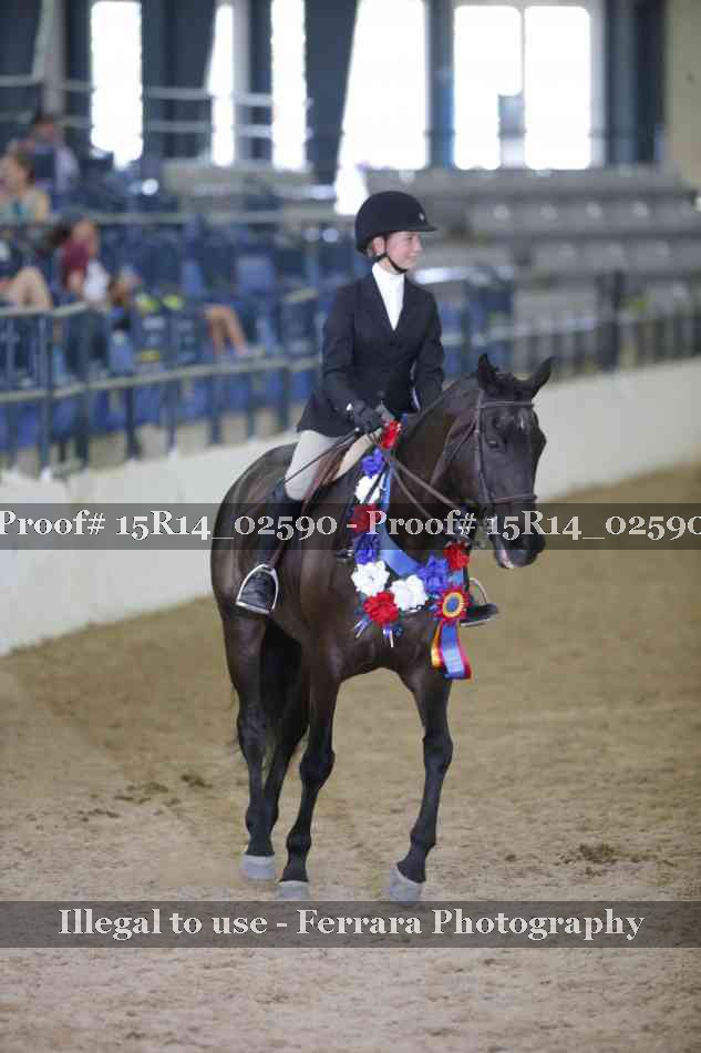 Proof Number 15R14_02590