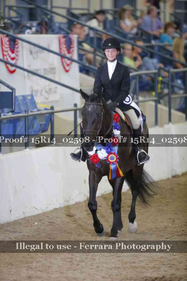 Proof Number 15R14_02598