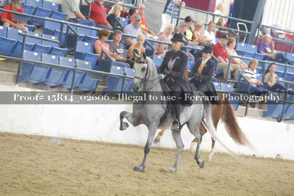 Proof Number 15R14_02606