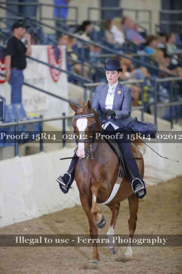 Proof Number 15R14_02612