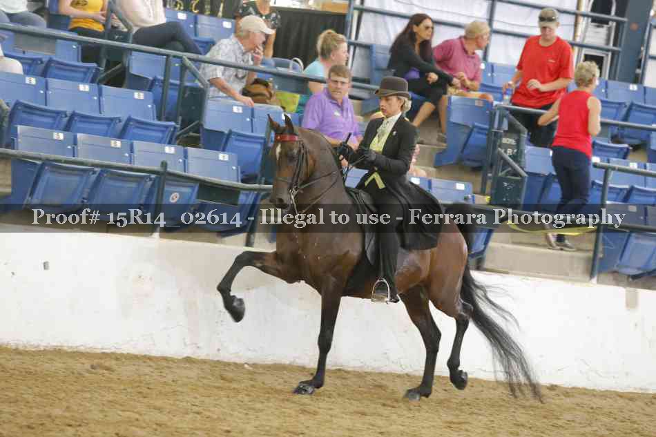 Proof Number 15R14_02614