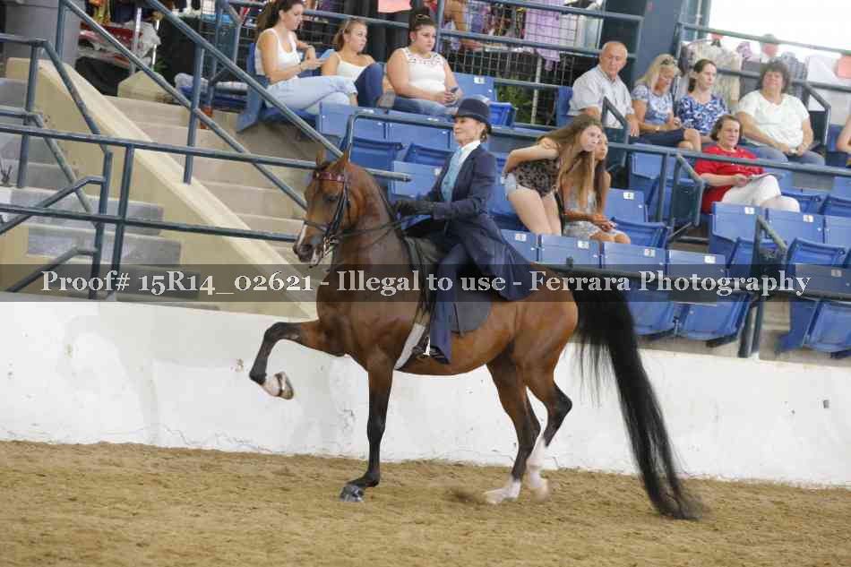 Proof Number 15R14_02621