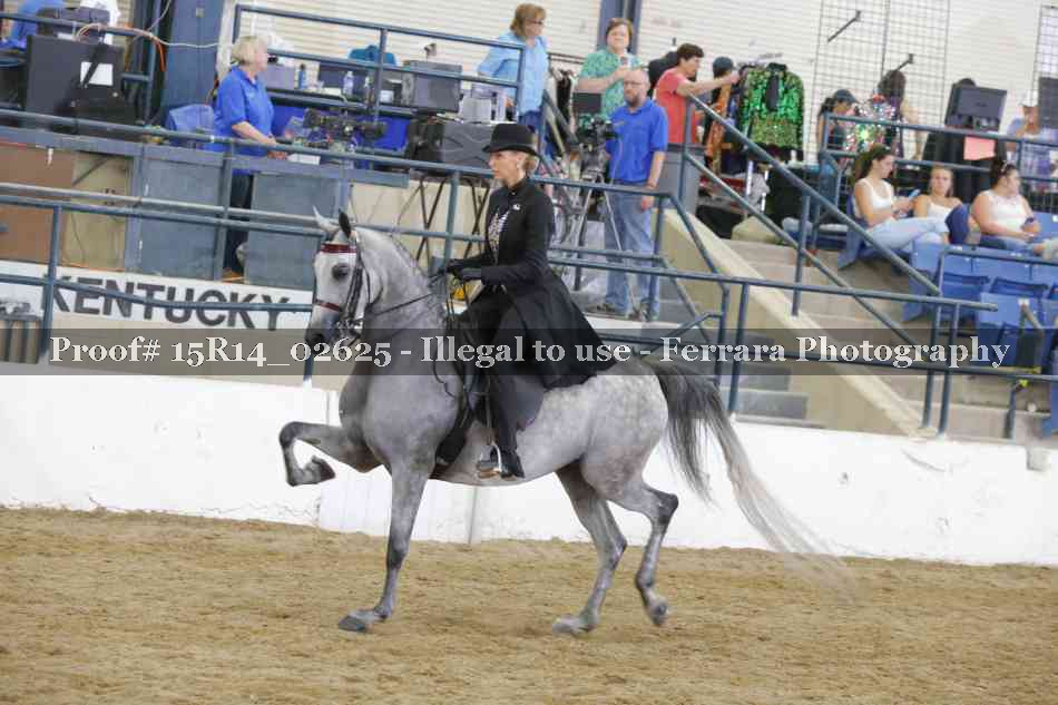 Proof Number 15R14_02625