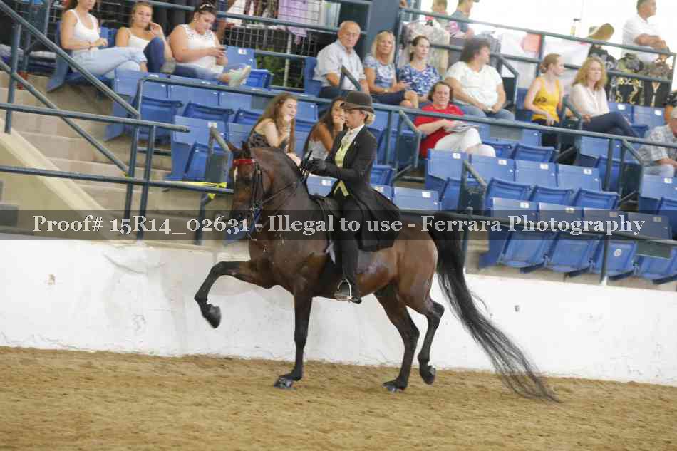 Proof Number 15R14_02631