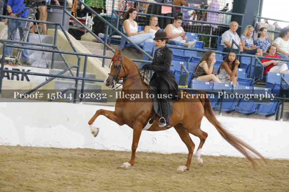 Proof Number 15R14_02632