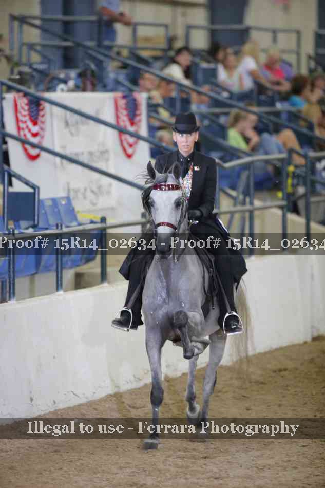 Proof Number 15R14_02634