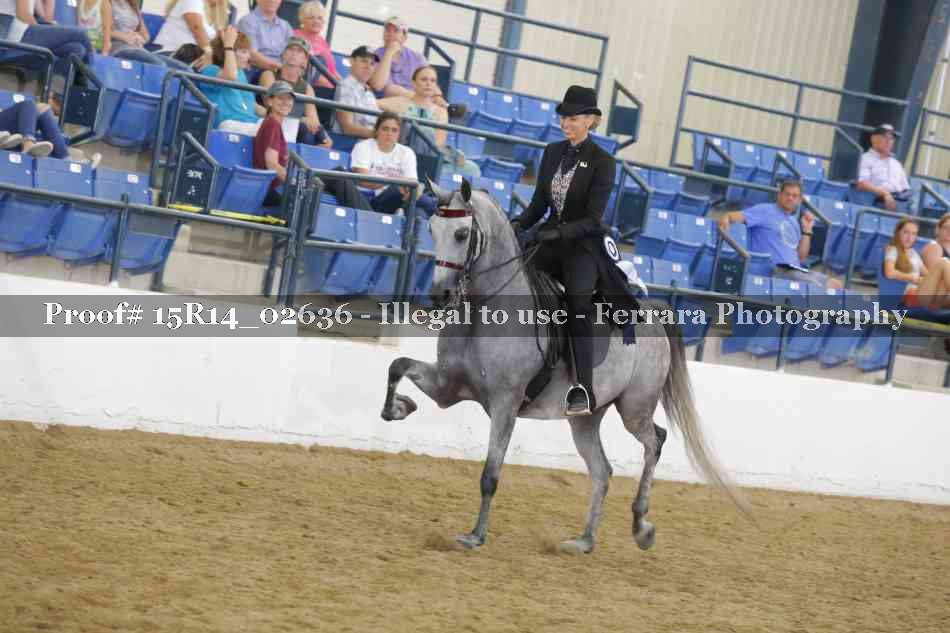 Proof Number 15R14_02636