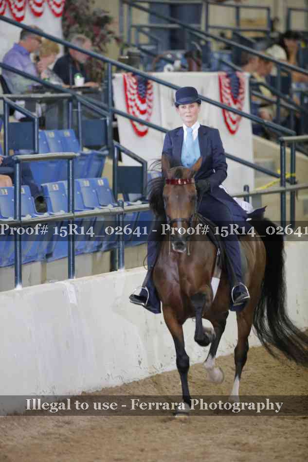 Proof Number 15R14_02641
