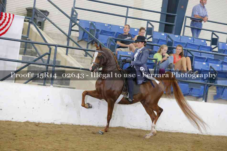 Proof Number 15R14_02643