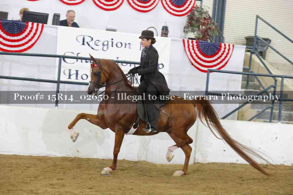 Proof Number 15R14_02650