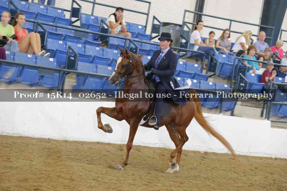 Proof Number 15R14_02652