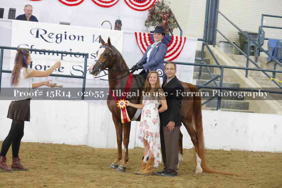 Proof Number 15R14_02655