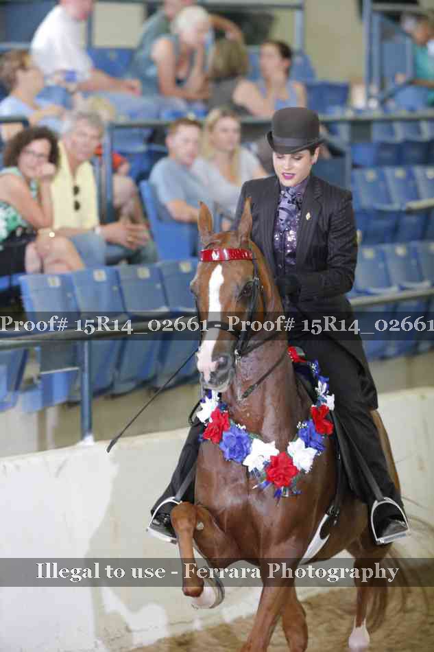 Proof Number 15R14_02661