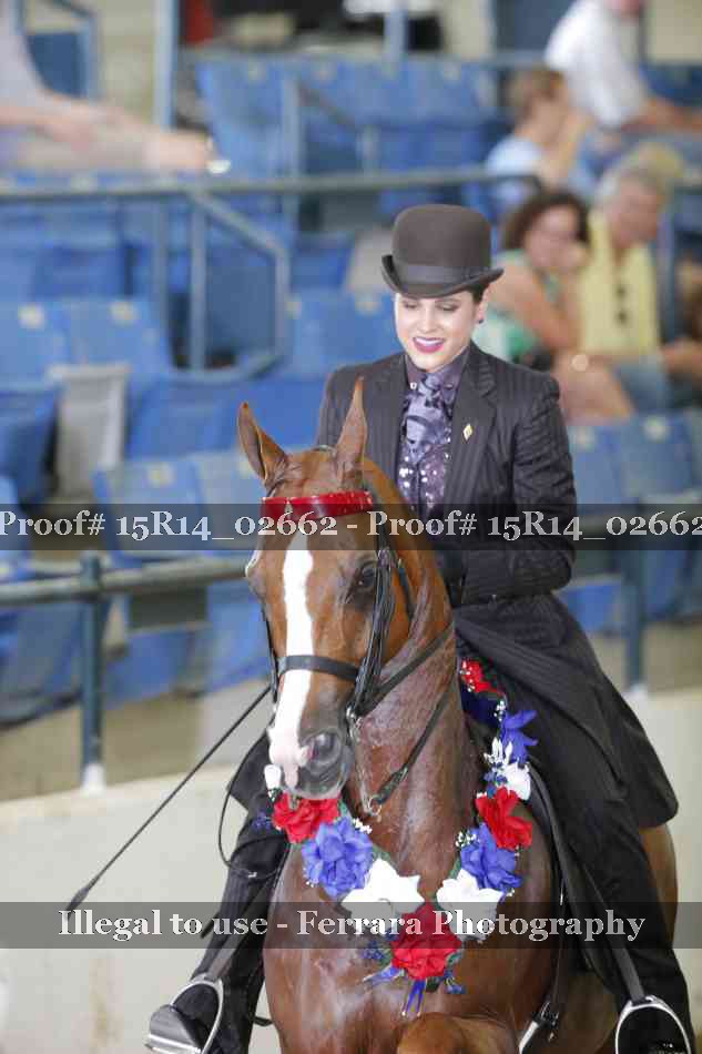 Proof Number 15R14_02662