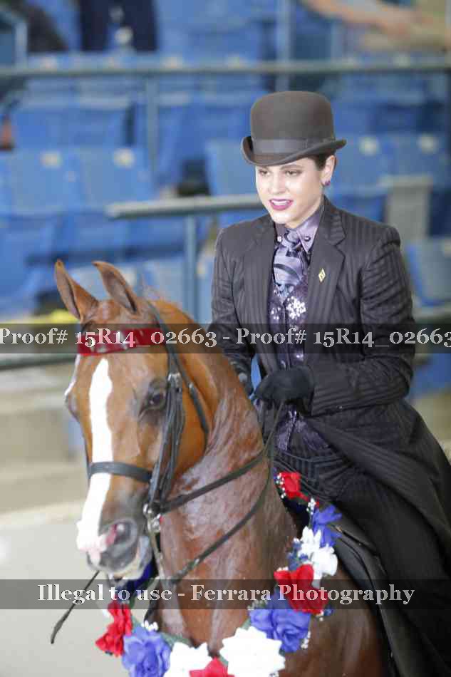 Proof Number 15R14_02663