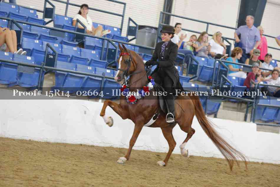 Proof Number 15R14_02664