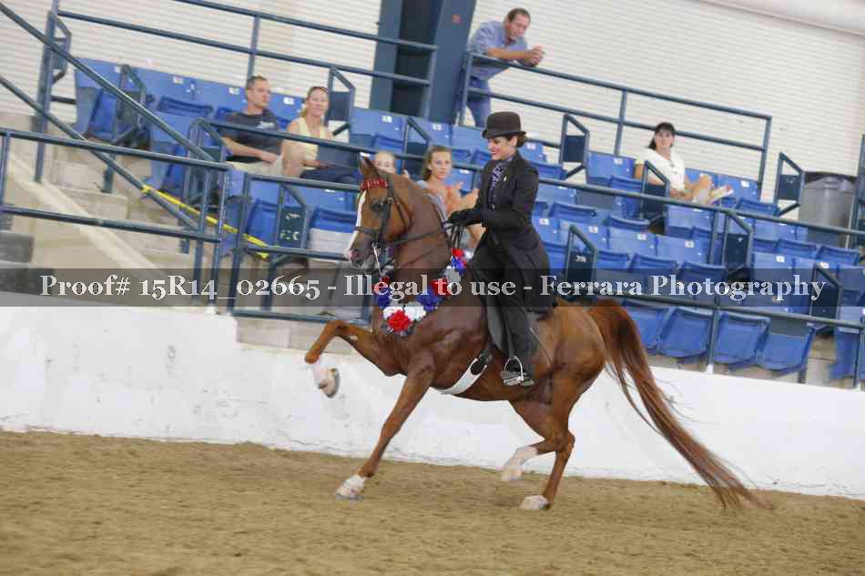 Proof Number 15R14_02665