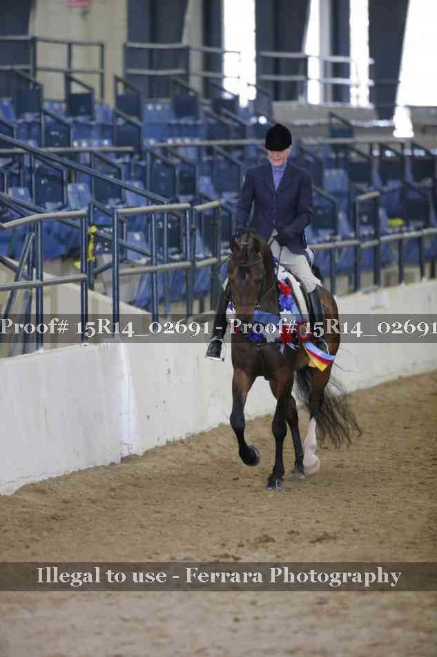 Proof Number 15R14_02691