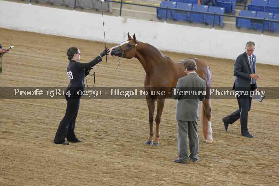 Proof Number 15R14_02791