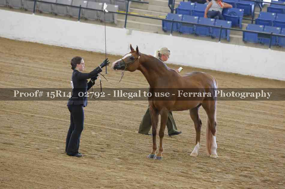 Proof Number 15R14_02792
