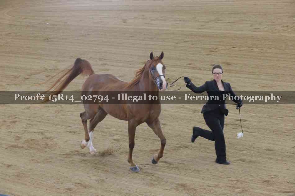Proof Number 15R14_02794