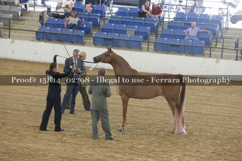 Proof Number 15R14_02798