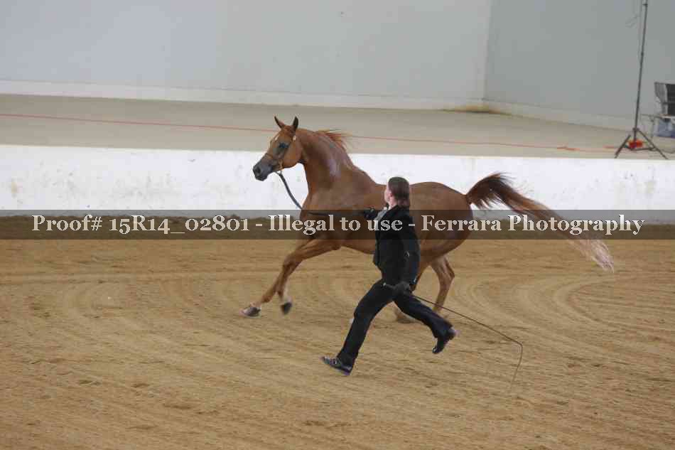 Proof Number 15R14_02801